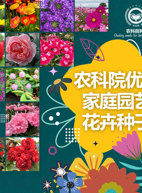 花卉种子鲜花绿植种籽虞美人睡莲薰衣香薄荷凤仙四季阳台盆栽花草