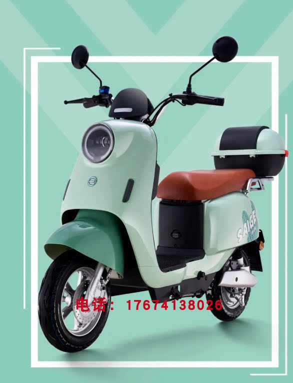 赛鸽电动车乐风全套配件