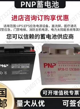 PNP蓄电池NP/NPG-12V24A38A65A100AH120AH7a12a17aUPSEPS备用电源