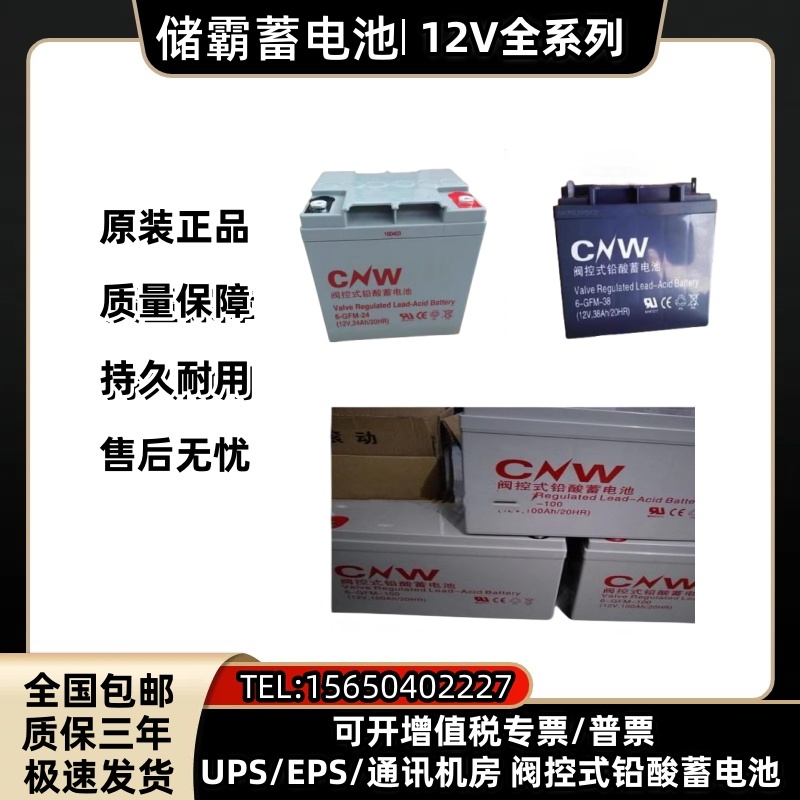 CNW储霸蓄电池12V120AH100AH65AH40AH33AH17AH/EPS/UPS/机房/基站