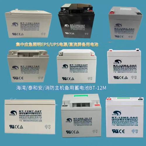 赛特蓄电池BT-12M7AT12V24AH12AH17AH38AH65AH100AH120AH消防主机