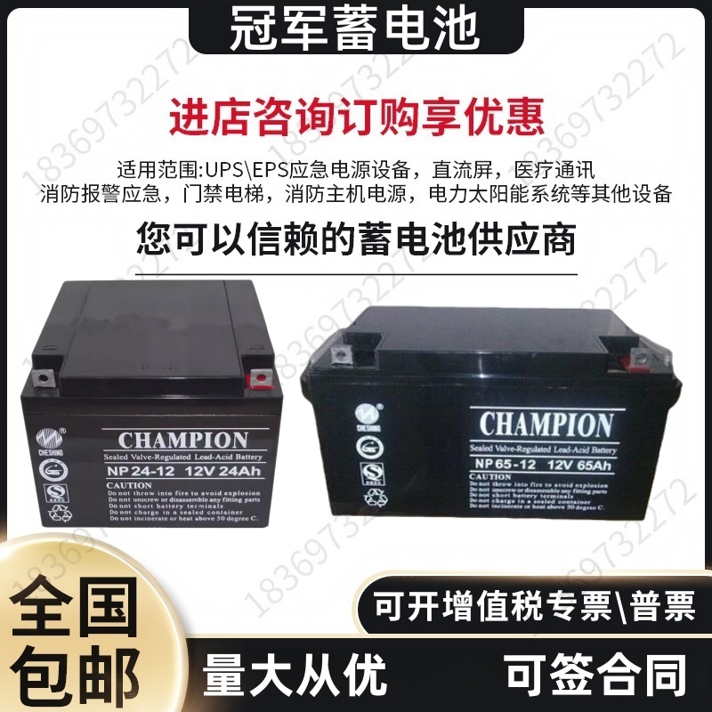 机房UPS基站等设备蓄电池冠军