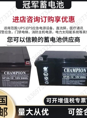 冠军蓄电池NP100-12V7AH12A17A24A38A55A65A120A150A200AH机房UPS