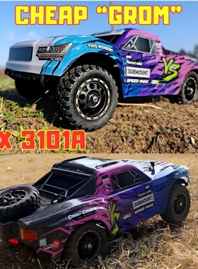 RC专业短卡防水遥控车四驱高速无刷成人模型车3101A竞技越野电车