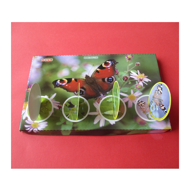 蝴蝶的成长过程学生科技制作发明创造科学课STEAM手工diy材料教具