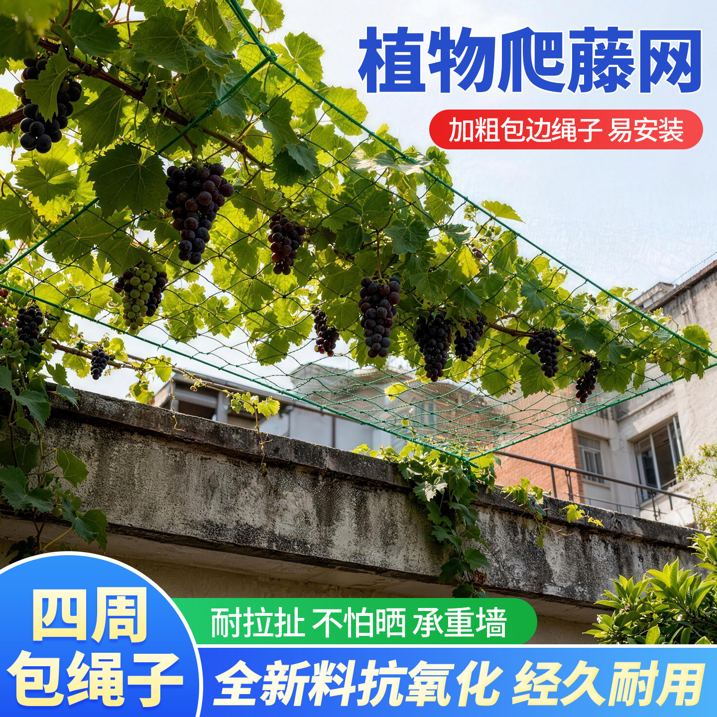 植物爬藤网花卉蔬果丝瓜苦瓜葡萄瓜蒌豆角攀爬网百香果阳台种植