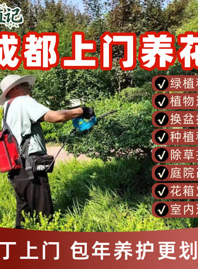 成都上门养花庭院盆栽花箱种植换盆换土植物墙面造景绿植租赁养护