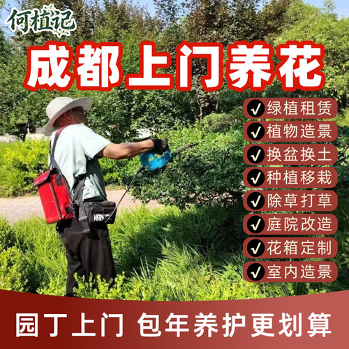 成都上门养花庭院盆栽花箱种植换盆换土植物墙面造景绿植租赁养护
