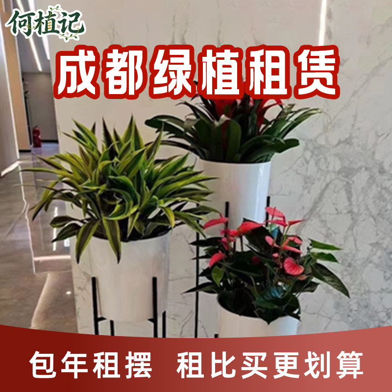 成都绿植租赁别墅庭院造景布置花箱植物种植楼顶露台花园上门养护