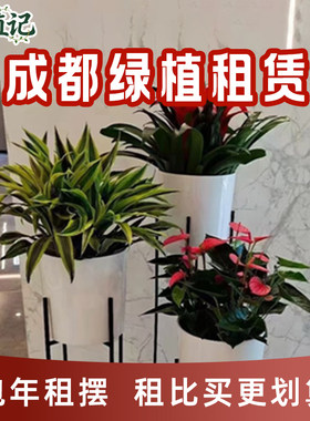 成都绿植租赁别墅庭院造景布置花箱植物种植楼顶露台花园上门养护