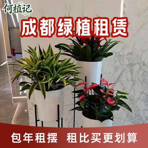 成都绿植租赁别墅庭院造景布置花箱植物种植楼顶露台花园上门养护
