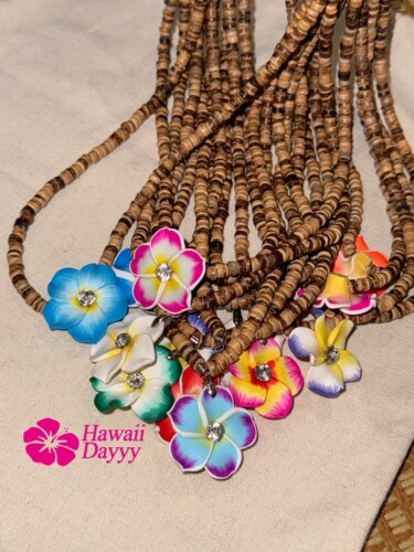 Hawaii Dayyy海岛小花加钻专属链接