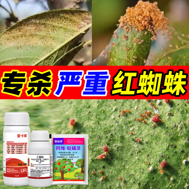 爱卡螨金满枝红蜘蛛专用药阿维哒螨灵联苯肼酯乙螨唑杀虫杀螨组合