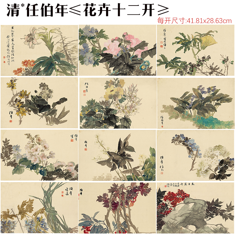 清任伯 花卉十二开 画工笔画花卉图彩色临摹底稿高清复制装饰字画