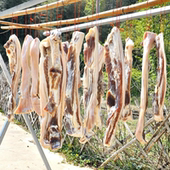 安徽安庆太湖县腊肉五花肉农家自制风干腌猪肉咸肉后腿肉正宗腊味