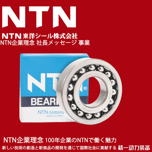 进口NTN轴承1300 1301 1302 1303 1304 1305 1306 1307 1308/K