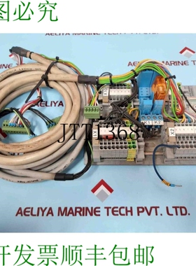 原装供应Saacke RSEP 1U 控制模块 50/60Hz