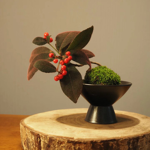 挂果盆栽灵气可爱桌面阳台基地发