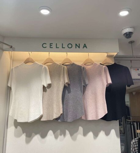 直邮 首尔印象韩代 25fw CELLONA小领口修身显瘦短袖打底上衣女
