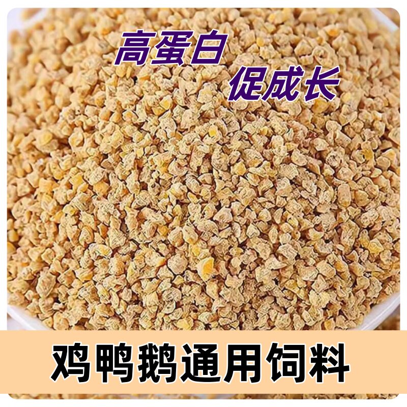 宠物小黄鸭可爱好养黏人小鸭饲料