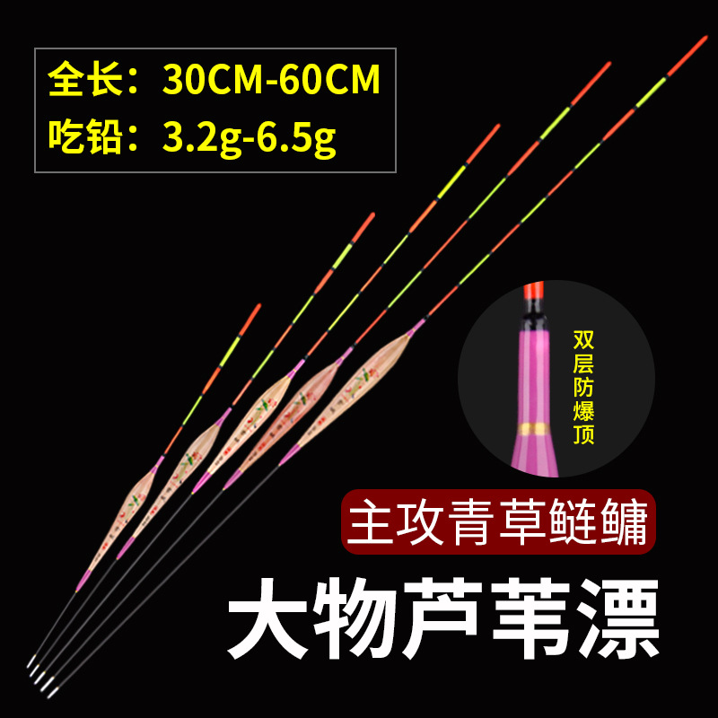 大物芦苇漂加固防爆大目距芦苇鱼漂加粗醒目尾黑坑水库鲤鱼青草漂
