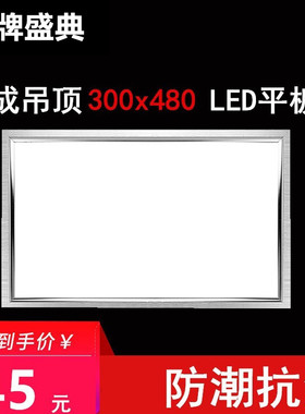 集成吊顶灯集成吊顶LED平板灯30*48cmLED厨卫面板灯300*480mm