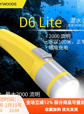Skywoods水陆两用D6 LITE充电2000流明超亮水下潜水手电防水电筒