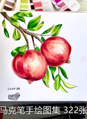 A154马克笔手绘电子版图片临摹素材花卉瓶子菠萝动物手绘素材