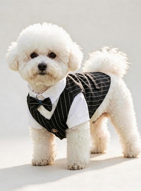 猫咪宠物服饰泰迪比熊小型犬狗狗衣服春夏季款西装礼服生日结婚服