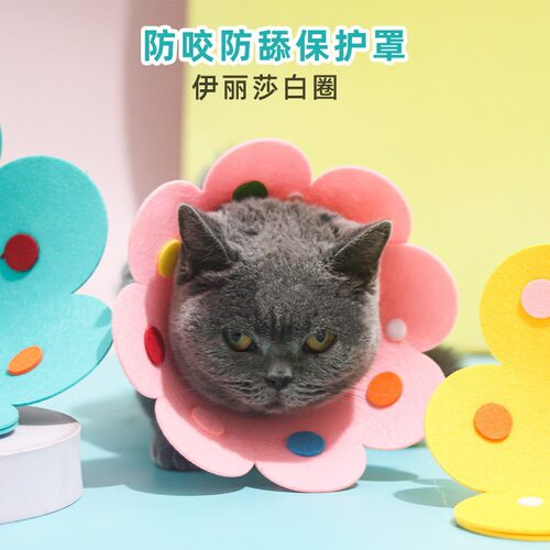 伊丽莎白圈猫咪绝育项圈伊利沙白圈宠物用品防舔颈圈头套狗狗脖圈