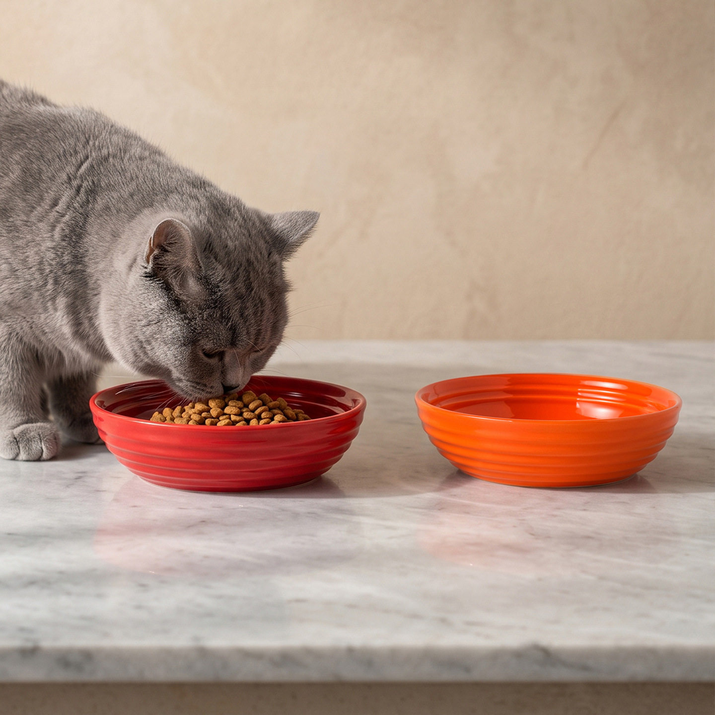 简约纯色条纹深盘宠物碗陶瓷猫碗狗碗大容量食盆防打翻水碗