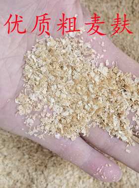新鲜纯小麦麸皮大片优质粗麦麸黄粉虫鸡鸭猪饲料原料钓鱼打窝热敷
