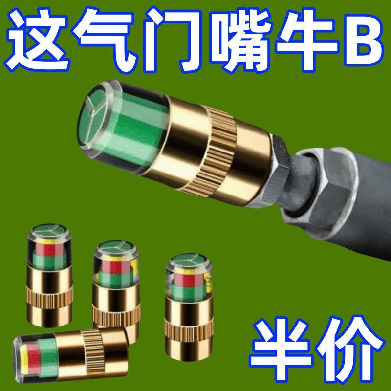 汽车全铜胎压帽气压检测器气门芯嘴盖小车通用防盗防爆胎全铜铜芯
