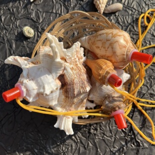 青岛旅游贝壳海螺口哨小螺号哨子大海旅游区纪念留念特色工艺品