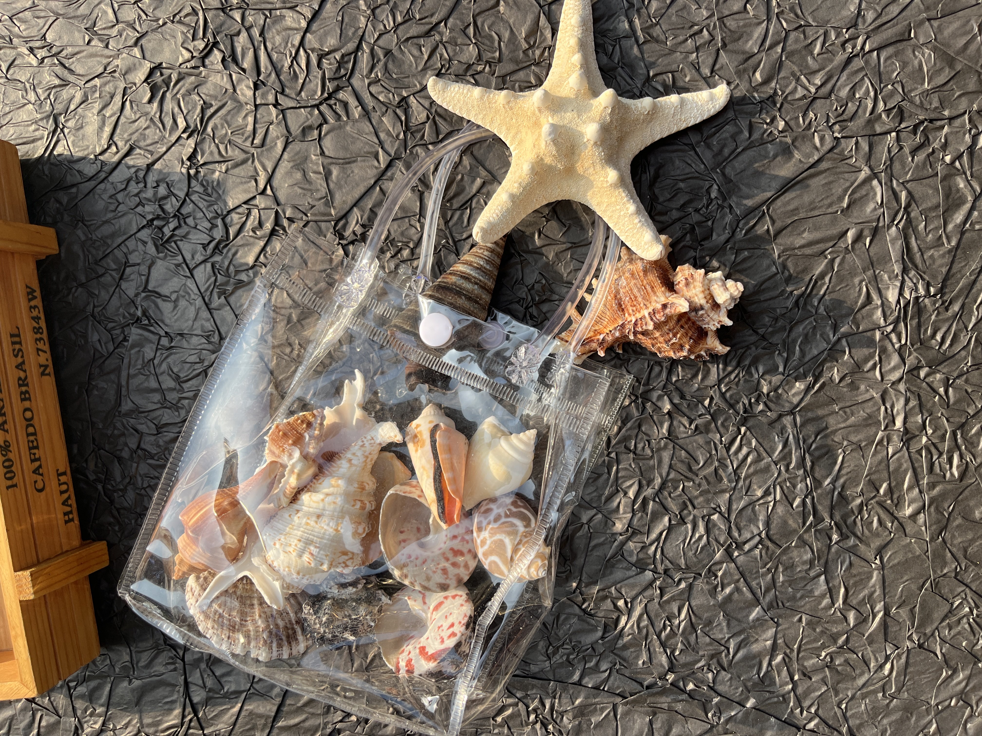 天然贝壳海螺海星伴手礼青岛纪念品栈桥旅游纪念礼品袋水族箱底沙