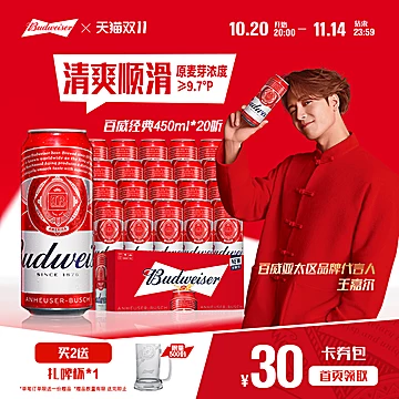 百威啤酒经典红罐450ml*20听