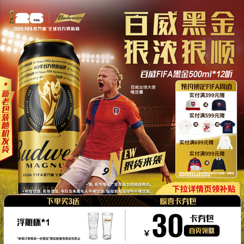 百威黑金啤酒500ml*12听