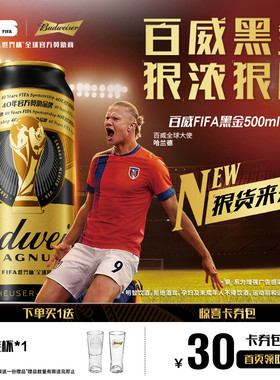 百威黑金啤酒500ml*36听