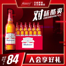 百威啤酒美式拉格600ml*12大瓶装整箱经典浓烈口感