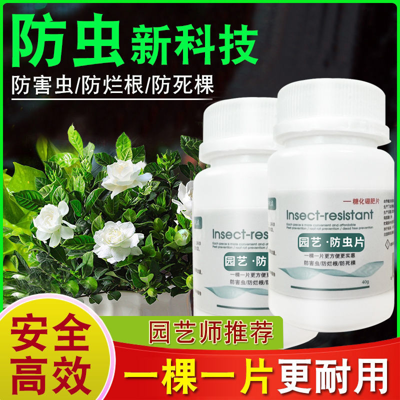 园艺防虫片糖化硼肥片驱虫花卉盆栽驱虫杀虫剂小白药植物通用蛀虫