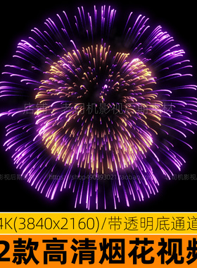 4k好看浪漫烟花视频素材节日喜庆粒子烟火焰火动画特效龙年透明底