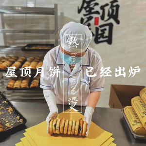 宁海屋顶花园老月饼 咸甜味 每天新鲜代发芝麻椒盐口味桶佬财记