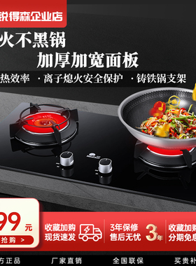 红日EM318BP红外线猛火双灶升级加厚款液化天然气台嵌两用燃气灶