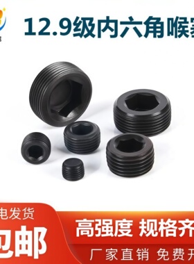 12.9级高强度合金钢内六角堵头PT1/81/4丝堵喉塞螺塞NPT3/81/23/4