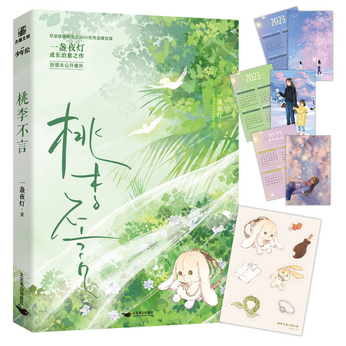 桃李不言青春小说实体书