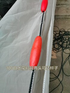 100目水花夏花小鱼苗拉网不伤鱼泥鳅黄鳝小眼拉鱼网 拖网抬网赶网