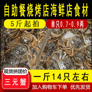 三元 0.9两螃蟹火锅自助餐烧烤店夜宵海鲜食材料 蟹大闸蟹鲜活0.7