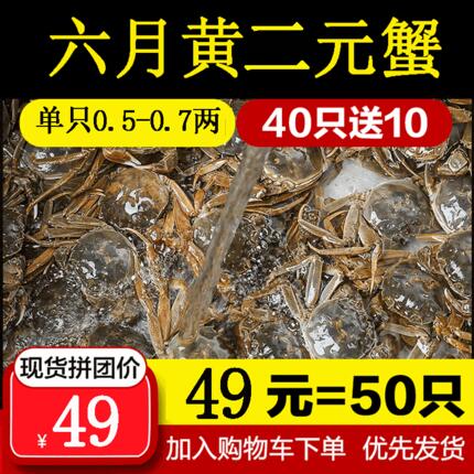 抢购二元蟹40只送10只小螃蟹