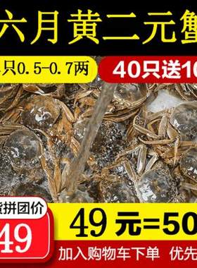 抢购二元蟹40只送10只小螃蟹