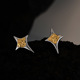 个性 小众设计师星芒双色耳钉S925纯银时尚 潮人耳饰女冷淡风E1280